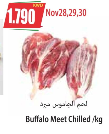  Buffalo  in 4 SaveMart in Kuwait - Kuwait City