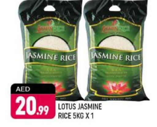  Jasmine Rice  in Shaklan  in UAE - Dubai