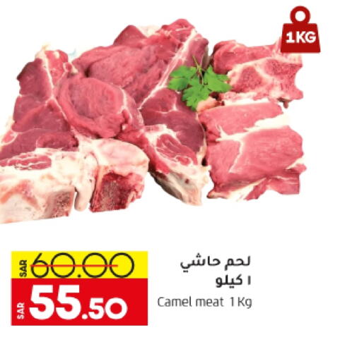  Camel meat  in Doha Central Supermarkets in KSA, Saudi Arabia, Saudi - Al Khobar