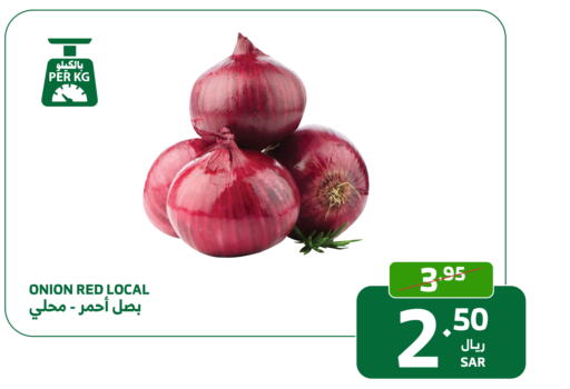  Onion  in Al Raya in KSA, Saudi Arabia, Saudi - Jeddah