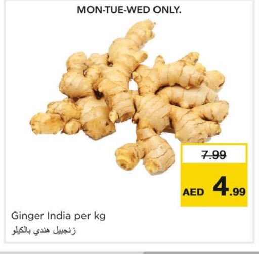  Ginger  in Nesto Hypermarket in UAE - Dubai