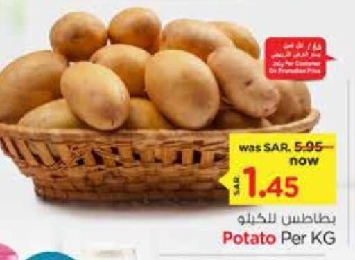  Potato  in Nesto in KSA, Saudi Arabia, Saudi - Riyadh