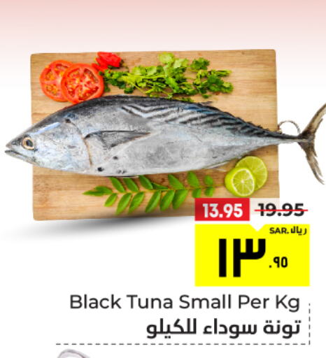  Tuna  in Hyper Al Wafa in KSA, Saudi Arabia, Saudi - Ta'if