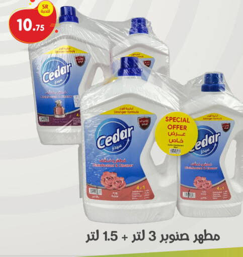  Disinfectant  in Family Discount in KSA, Saudi Arabia, Saudi - Dammam