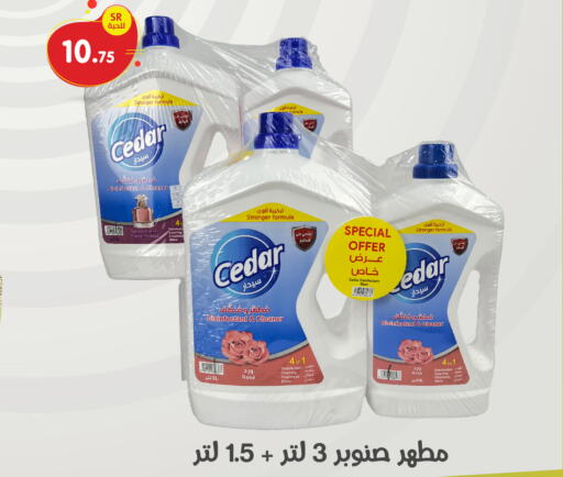  Disinfectant  in Family Discount in KSA, Saudi Arabia, Saudi - Dammam