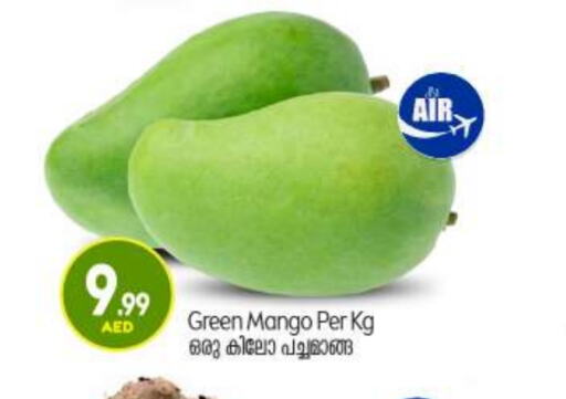 Mango Mango  in BIGmart in UAE - Abu Dhabi