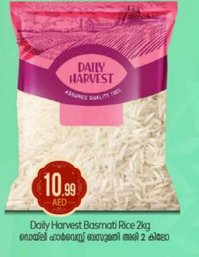  Basmati / Biryani Rice  in BIGmart in UAE - Abu Dhabi