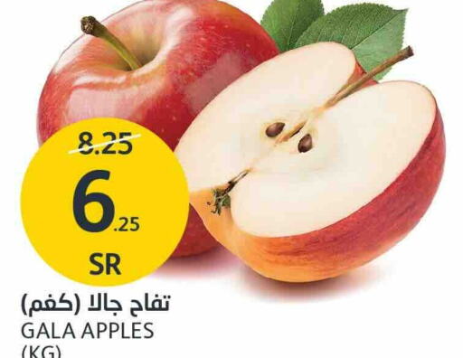  Apples  in AlJazera Shopping Center in KSA, Saudi Arabia, Saudi - Riyadh