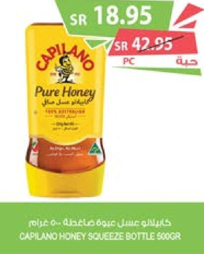  Honey  in Farm  in KSA, Saudi Arabia, Saudi - Dammam