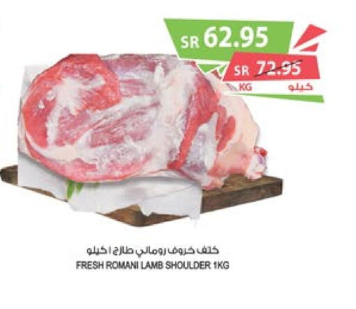  Mutton / Lamb  in Farm  in KSA, Saudi Arabia, Saudi - Najran