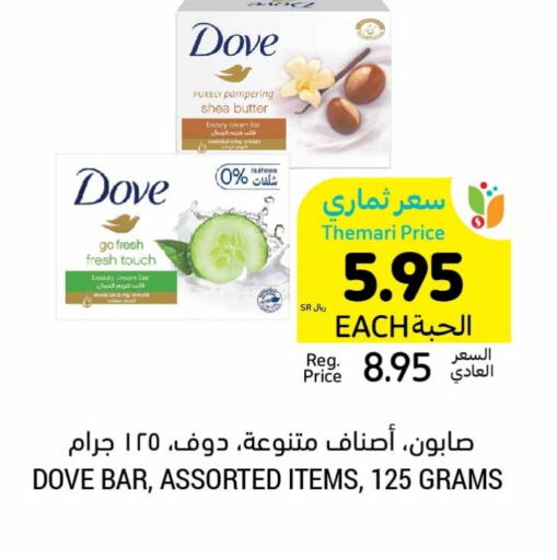 DOVE   in Tamimi Market in KSA, Saudi Arabia, Saudi - Medina