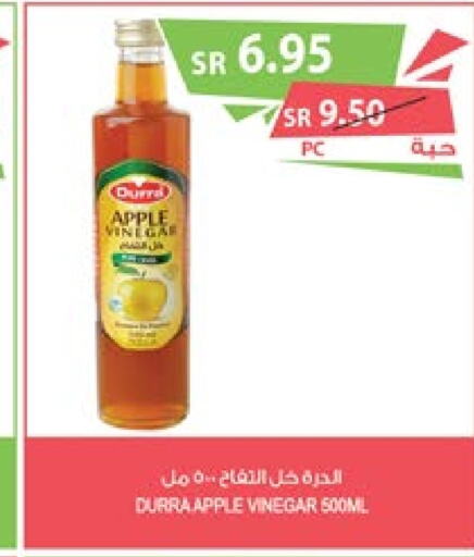 DURRA Vinegar  in Farm  in KSA, Saudi Arabia, Saudi - Qatif