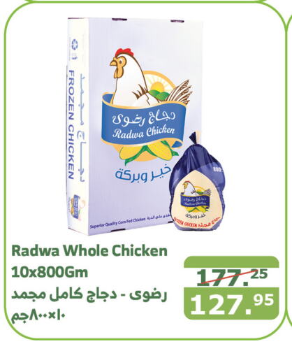  Frozen Whole Chicken  in Al Raya in KSA, Saudi Arabia, Saudi - Jazan