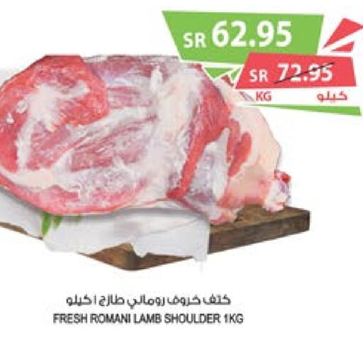  Mutton / Lamb  in Farm  in KSA, Saudi Arabia, Saudi - Khafji