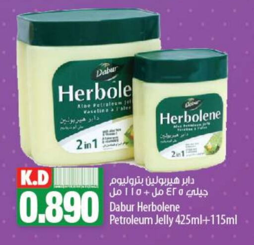 DABUR Petroleum Jelly  in Mango Hypermarket  in Kuwait - Kuwait City