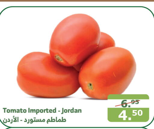  Tomato  in Al Raya in KSA, Saudi Arabia, Saudi - Medina