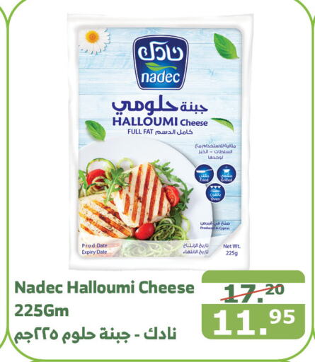 NADEC Halloumi  in Al Raya in KSA, Saudi Arabia, Saudi - Mecca