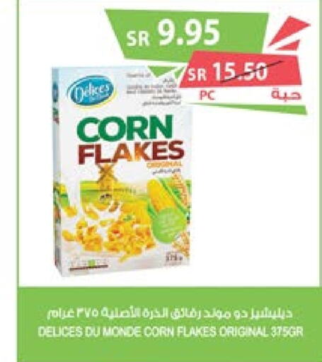  Corn Flakes  in Farm  in KSA, Saudi Arabia, Saudi - Yanbu