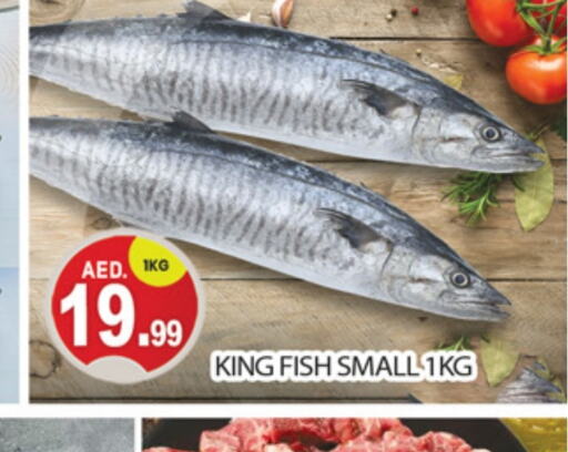  King Fish  in TALAL MARKET in UAE - Dubai