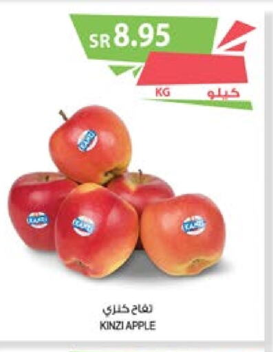  Apples  in Farm  in KSA, Saudi Arabia, Saudi - Jeddah