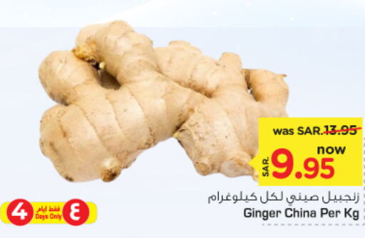  Ginger  in Nesto in KSA, Saudi Arabia, Saudi - Buraidah