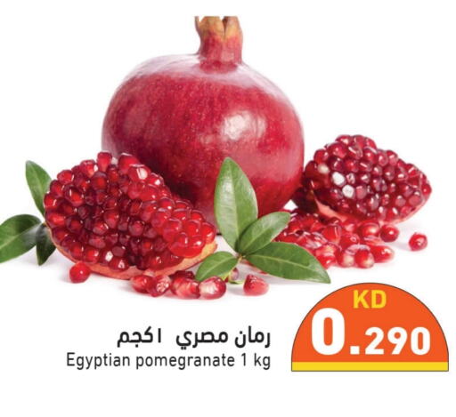  Pomegranate  in Ramez in Kuwait - Jahra Governorate