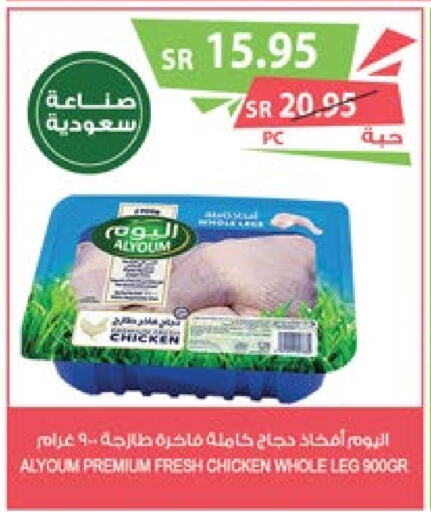  Chicken Legs  in Farm  in KSA, Saudi Arabia, Saudi - Arar