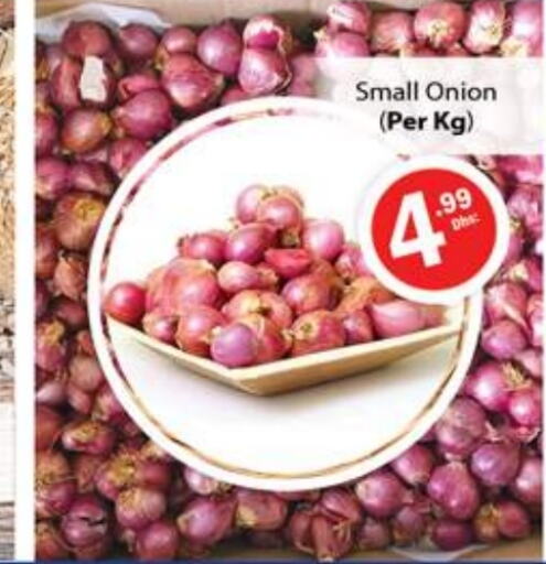  Onion  in Gulf Hypermarket LLC in UAE - Ras al Khaimah