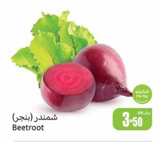  Beetroot  in Othaim Markets in KSA, Saudi Arabia, Saudi - Hail