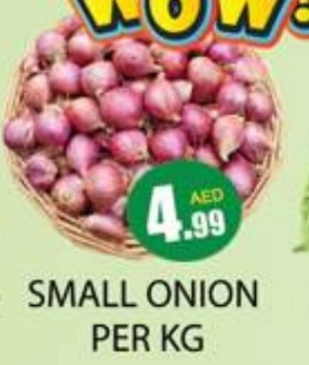  Onion  in Zain Mart Supermarket in UAE - Ras al Khaimah