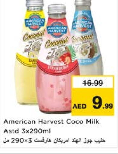  Flavoured Milk  in Nesto Hypermarket in UAE - Al Ain