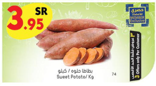  Sweet Potato  in Bin Dawood in KSA, Saudi Arabia, Saudi - Mecca