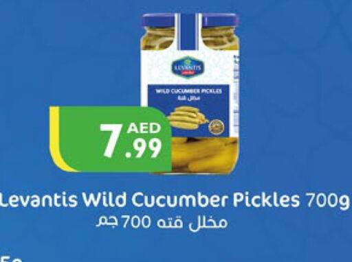  Pickle  in Istanbul Supermarket in UAE - Dubai