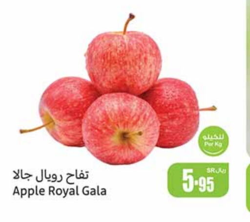  Apples  in Othaim Markets in KSA, Saudi Arabia, Saudi - Riyadh