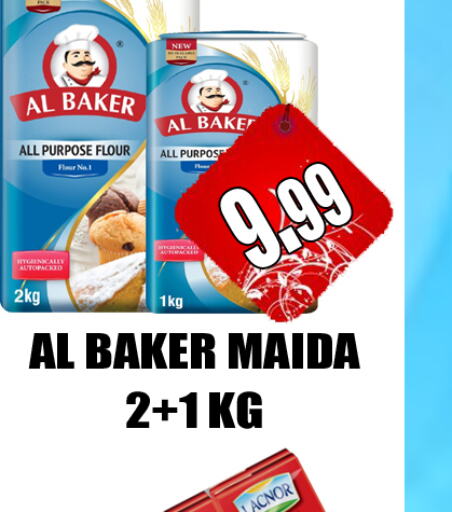 الباكر طحين متعدد الاستعمالات  in GRAND MAJESTIC HYPERMARKET in الإمارات العربية المتحدة , الامارات - أبو ظبي