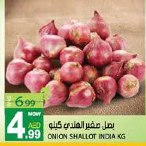  Onion  in Hashim Hypermarket in UAE - Sharjah / Ajman