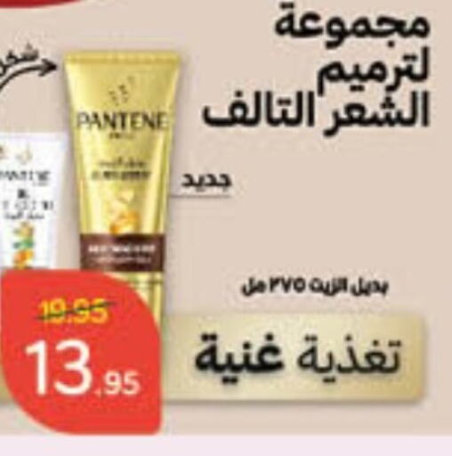 PANTENE   in Hyper Panda in KSA, Saudi Arabia, Saudi - Jubail