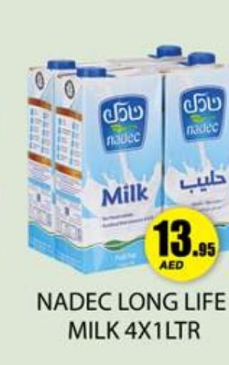 NADEC Long Life / UHT Milk  in Zain Mart Supermarket in UAE - Ras al Khaimah