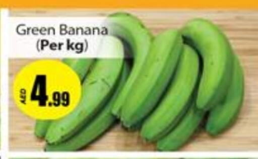  Banana  in Gulf Hypermarket LLC in UAE - Ras al Khaimah