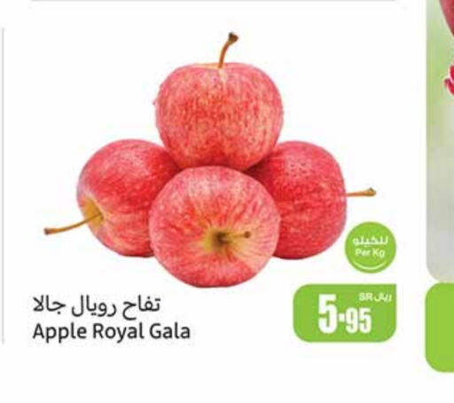  Apples  in Othaim Markets in KSA, Saudi Arabia, Saudi - Jeddah