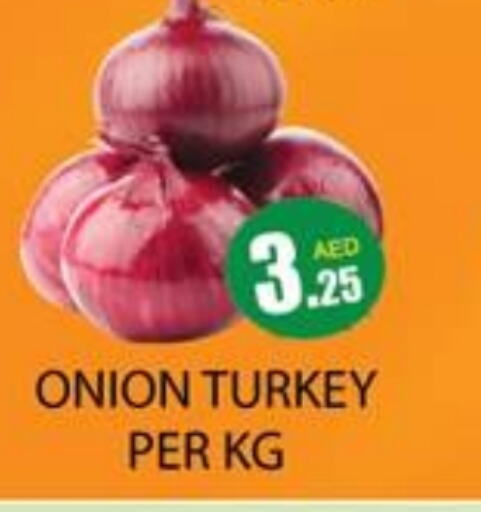  Onion  in Zain Mart Supermarket in UAE - Ras al Khaimah