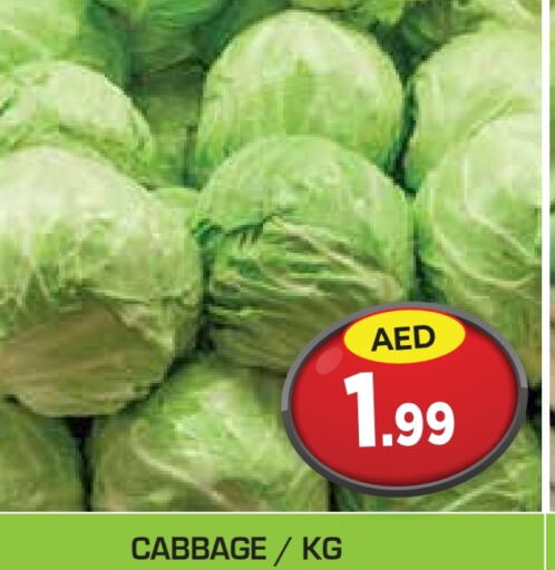 Cabbage