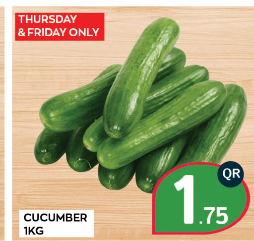  Cucumber  in Majlis Shopping Center in Qatar - Al Rayyan