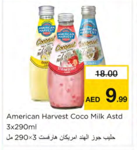  Flavoured Milk  in Nesto Hypermarket in UAE - Ras al Khaimah