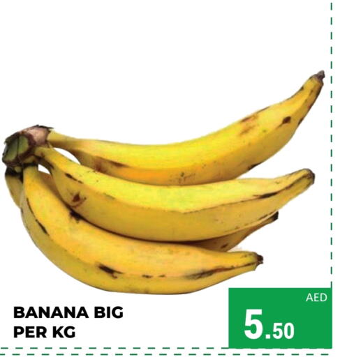  Banana  in Kerala Hypermarket in UAE - Ras al Khaimah