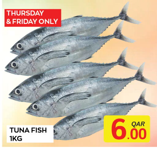  Tuna  in Majlis Shopping Center in Qatar - Al Rayyan