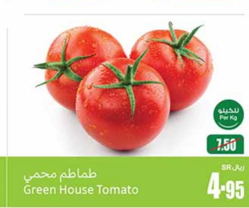  Tomato  in Othaim Markets in KSA, Saudi Arabia, Saudi - Medina