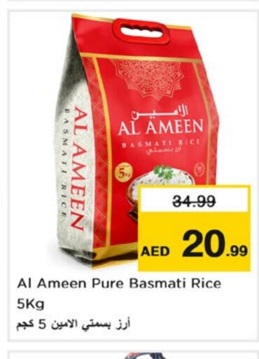 AL AMEEN Basmati / Biryani Rice  in Nesto Hypermarket in UAE - Abu Dhabi