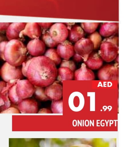  Onion  in AL MADINA in UAE - Sharjah / Ajman