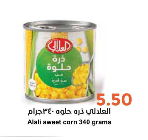 AL ALALI   in Consumer Oasis in KSA, Saudi Arabia, Saudi - Al Khobar